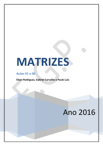 2° ano – Matrizes – 2016-v1