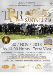 Lote 01 (2 animais)