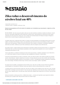 Zika reduz o desenvolvimento do c&eacute;rebro fetal em 40%