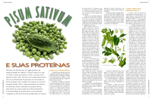 pisum sativum e suas proteínas - leia a matéria completa ( pdf )