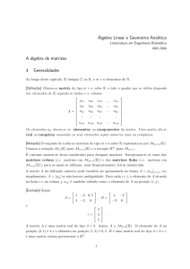 Álgebra Linear e Geometria Anal´ıtica A álgebra de matrizes 1