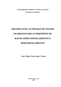 Dissertação Mestrado Luis Felipe Victor Spyer Prates