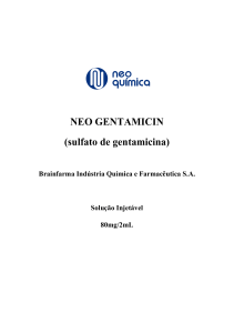 Neo Gentamicin 80_Bula_Profissional