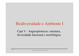 Estrutura, diversidade funcional e morfologica das angiospermicas