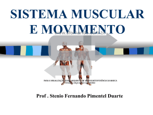 SISTEMA MUSCULAR E MOVIMENTO