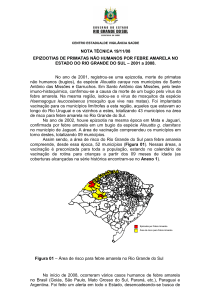 Nota Técnica Epizootias de Primatas Não Humanos por Febre