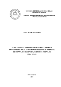 Luciana Miranda Barbosa Mello AS IMPLICAÇÕES DA