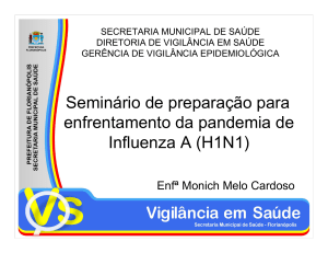 Seminário de preparação para enfrentamento da pandemia de