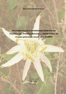 Anatomia foliar e diversidade genética (Dissertação