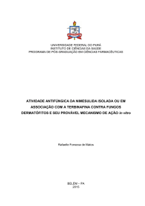 atividade antifúngica da nimesulida isolada ou em associação com