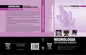 neurologia - Blog Elsevier Saúde