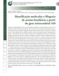 Identificação molecular e filogenia de arraias brasileiras a partir do