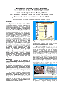 Módulos Interativos de Anatomia Seccional: um instrumento de