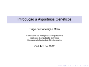 Introdução a Algoritmos Genéticos