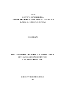 ufrrj instituto de veterinária curso de pós-graduação em