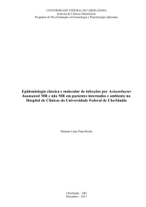 Epidemiologia clássica e molecular de infecções por Acinetobacter