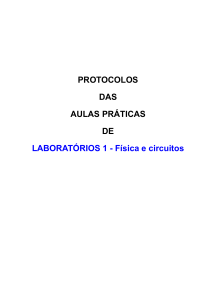 PROTOCOLOS DAS AULAS PRÁTICAS DE LABORATÓRIOS 1