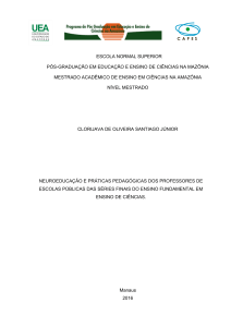 Neuroeduca&ccedil;&atilde;o e pr&aacute;ticas pedag&oacute;gicas dos - TEDE