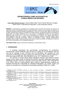 ozonioterapia como adjuvante na clínica médica de