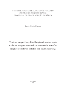 Tese de doutorado - Paulo Moscon