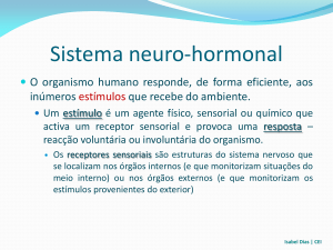 Sistema neuro