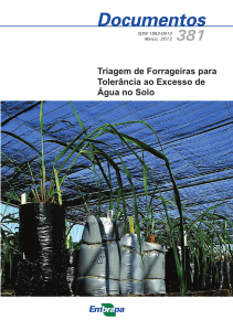 Triagem de Forrageiras para Tolerância ao Excesso de Água no Solo