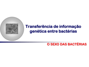 Reprodução Bacteriana_17SC
