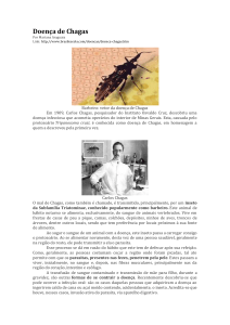 Doença de Chagas - Colégio Madre Imilda
