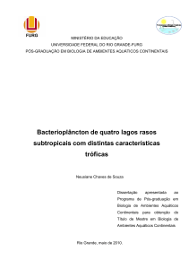 Bacterioplâncton de quatro lagos rasos subtropicais com distintas