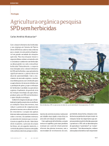 Agricultura orgânica pesquisa SPD sem herbicidas - Esalq