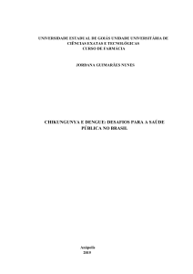 CHIKUNGUNYA E DENGUE: DESAFIOS PARA A SAÚDE PÚBLICA