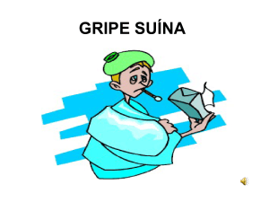 gripe suína - Colégio Integração