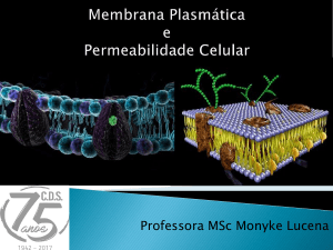 A membrana plasmática e o citoplasma