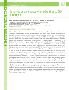 Os nativos sul-americanos vistos sob o olhar do DNA mitocondrial