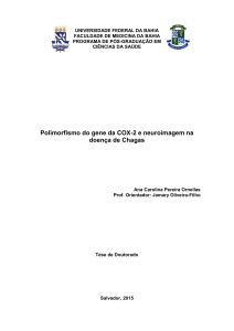 Polimorfismo do gene da COX-2 e neuroimagem na doença de