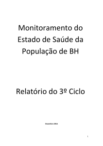 Relatório Monitoramento 3º Ciclo - Prefeitura Municipal de Belo