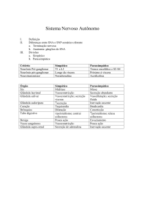 Sistema Nervoso Autônomo