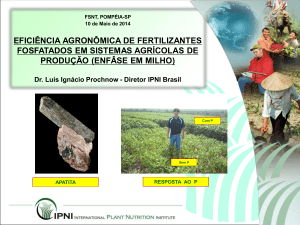 P - IPNI - Brasil - International Plant Nutrition Institute