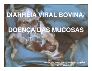 diarréia viral bovina - Laboratório de Epidemiologia e Bioestatística