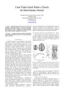 Uma Visão Geral Sobre a Teoria do Darwinismo Neural
