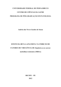 Efeito da Beta-lapachona na Inibição de Fatores de Virulência de