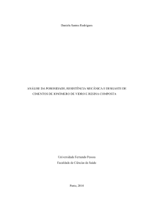 Daniela Santos Rodrigues ANÁLISE DA POROSIDADE