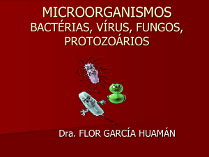 Fungos Microscópicos