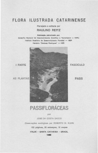 Passifloráceas - Herbário "Barbosa Rodrigues"