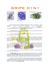 gripe h1n1 - nuno dinis