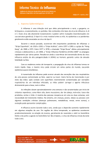 2012 Informe tecnico Influenza