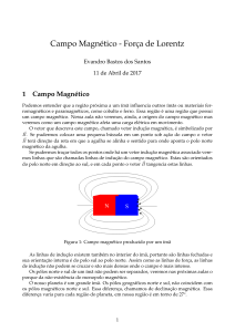 Campo Magnético - Força de Lorentz