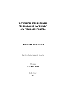 universidade candido mendes pós
