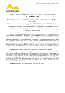 MODELAGEM NUMÉRICA DO COLAPSO DE POROS EM ROCHAS