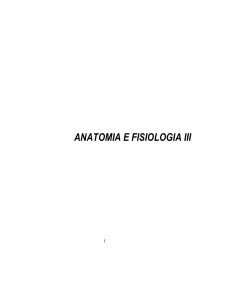 anatomia e fisiologia iii